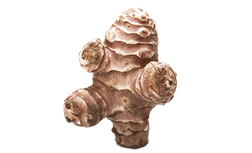 Inulin