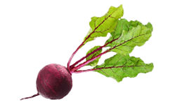 Bio-Rote-Bete-Saft
