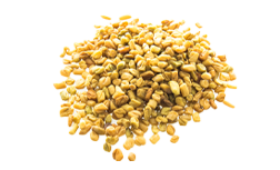 Bockshornklee