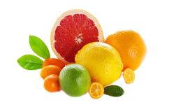 Citrus-Bioflavonoide und Fettsäuren