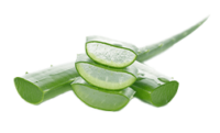 nordbo-mage-sestavine-aloe-vera-vitaminklinik